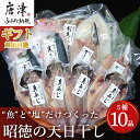 【ふるさと納税】昭徳の天日干し 1枚60g~180g全10枚でお届けします 真あじ開き60g×4枚 真さば片身90g×2枚 かます開き80g×2枚 連子鯛開き180g×1枚 剣先いか開き70g×1枚 おかず ギフト 「お歳暮」Oseibo「2024年 令和6年」