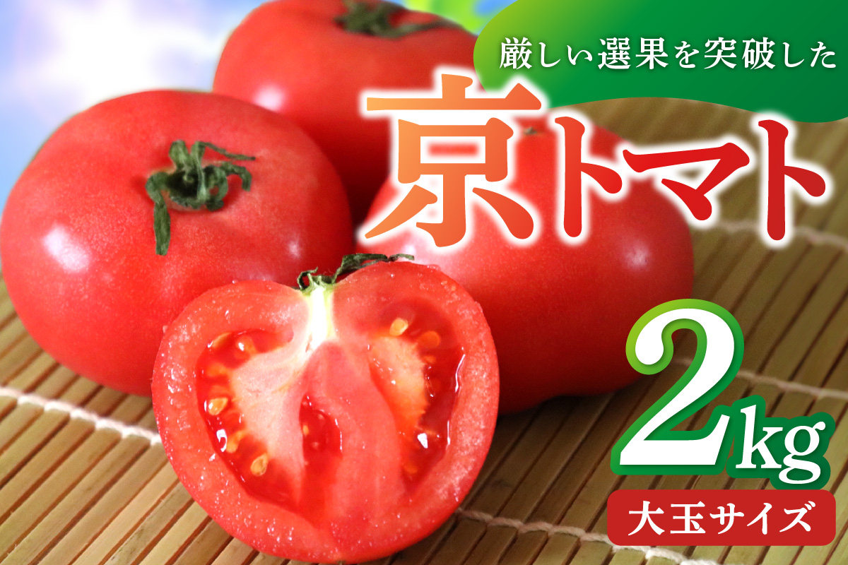 【先行予約】厳選された究極のとまと／京丹後産・京トマト 2kg（8～10玉） 春夏発送（2025年5月中旬～発送）　お野菜 夏野菜 トマト 大玉 2きろ 高糖度 濃厚 甘い 美味しい 完熟 とまと tomato　JK00010