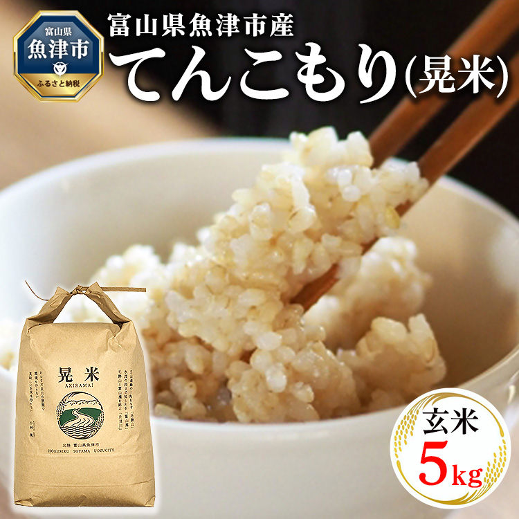 【令和8年度米】【農家直送】環境配慮「魚津のてんこもり（晃米）」5kg（玄米） ※2026年11月～発送