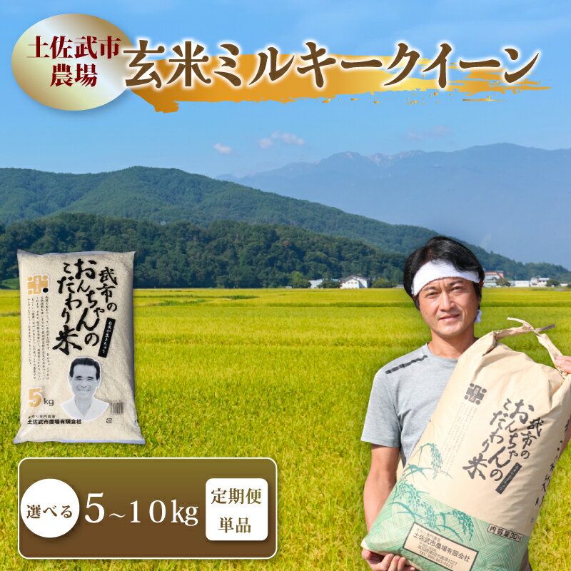 【ふるさと納税】 玄米 ミルキークイーン 5キロ 5kg 10キロ 10kg 数量限定 米 コメ お米 ご飯 おにぎり こめ 令和8年度 農家直送 産地直送 ふるさと納税 先行予約 定期便 3回定期便 6回定期便 12回定期便 選べる えらべる 高知県 南国市