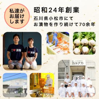 国産甘酢漬らっきょう 10袋