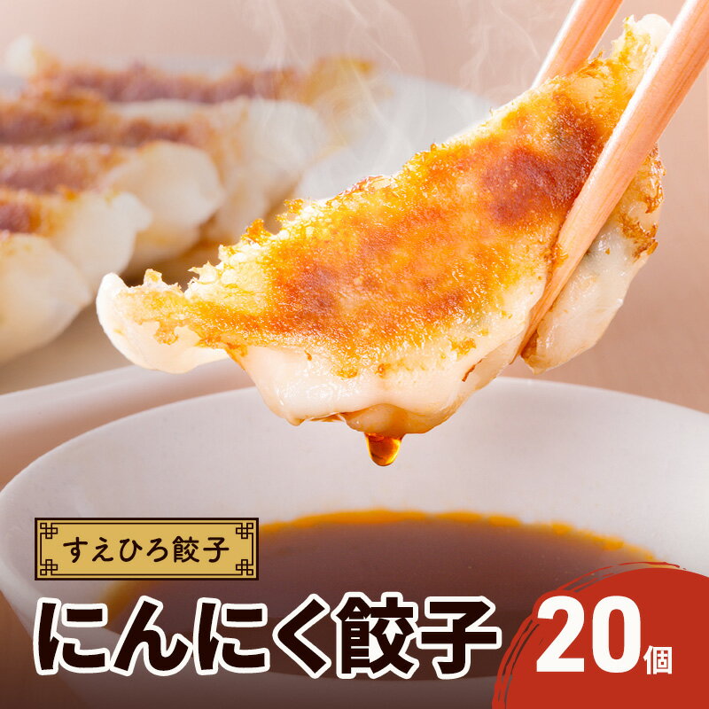 【ふるさと納税】すえひろ餃子 （にんにく餃子） 20個 タレ・唐辛子付き 餃子 浜松餃子 ギョーザ 冷凍餃子 具沢山 国産 ビールのお供 つまみ 静岡 浜松市