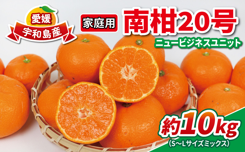 
                  みかん 10kg 南柑20号 家庭用 S~L サイズ ミックス 玉津みかん ニュービジネスユニット 先行予約 温州 温州みかん 果物 くだもの フルーツ 柑橘 蜜柑 mikan 温州 愛媛蜜柑 愛媛みかん 農家直送 産地直送 数量限定 国産 愛媛 宇和島 B015-058002
                