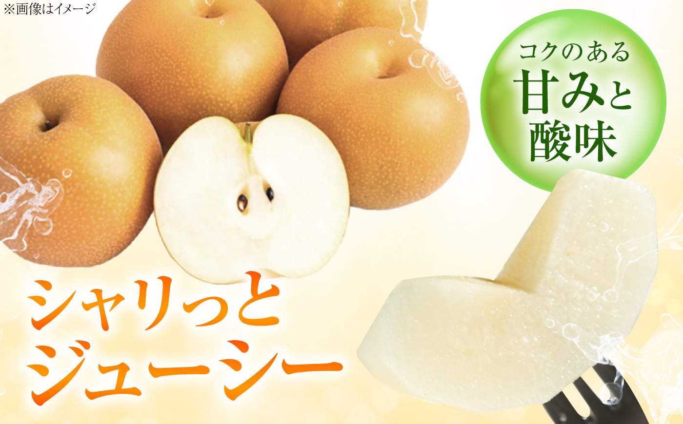 【先行予約】あきづき梨 6～9玉入 〈2026年9月～発送〉 ／ 梨 なし フルーツ 果物 くだもの 食品 人気 おすすめ 季節のフルーツ あきづき　／　株式会社内子フレッシュパークからり [BKAD