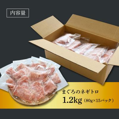 ふるさと納税 田野町 【四国一小さなまち】≪カネアリ水産≫ まぐろのネギトロ　1.2kg(80g×15パック) |  | 03