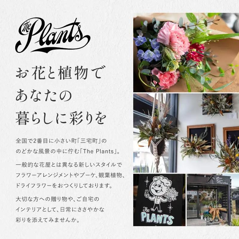 花 ふるさと定期便 3回 お届け 三宅町に住む家族へ 花束 ギフト The Plants:スタンダード