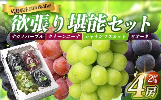 庄原市西城産ぶどう 欲張り堪能セット 4房入り（合計2kg）│産地直送 ぶどう ブドウ シャインマスカット ナガノパープル クイーンニーナ ピオーネ