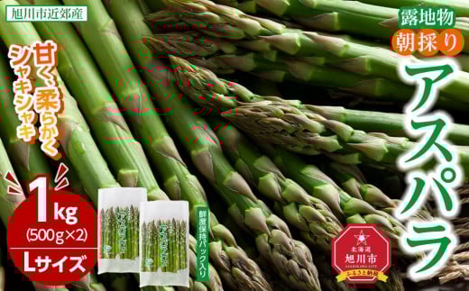 【2025年発送先行予約】朝採りアスパラ Lサイズ 1kg（500g×2）鮮度保持パック入り 旭川近郊産 露地物(2025年5月中旬発送予定) 【 アスパラ アスパラガス 朝採り とれたて 野菜 旬 小分け 保存 産直 産地直送 お取り寄せ 旭川市 北海道 】_01590