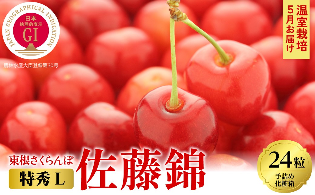 
                  2026年産【5月お届け】GI東根さくらんぼ 佐藤錦 特秀品 Lサイズ24粒化粧箱入り 東根農産センター提供 山形県 東根市 hi027-159-r8
                