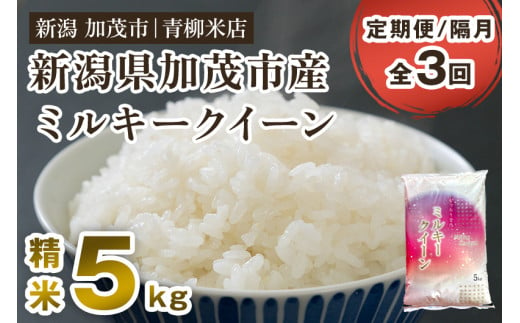 【令和6年産新米先行予約】【定期便3回隔月お届け】新潟県央地区 ミルキークイーン 精米5kg 新潟米 新潟産 お米  白米 加茂市 青柳米店