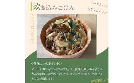 【先行予約】完全自然栽培マコモダケ 約1kg 【9月中旬～発送予定】| マコモダケ まこもだけ マコモ たけのこ トウモロコシ 長野県 塩尻市