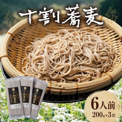 ふるさと納税 高千穂町 【国産乾そば6人前】そば 高千穂 有機栽培 10割蕎麦 200g×3袋 600g