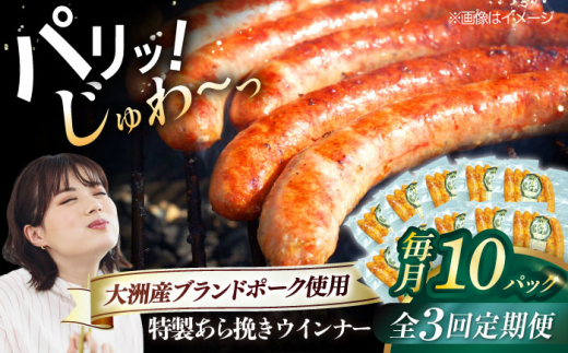 ウインナー【全3回定期便】 特製ウインナー（5本入り）×10袋 合計1200g ブランドポーク『オズの箱入り娘』使用！にく 肉 お肉 豚肉 ぶたにく ベーコン ソーセージ ウィンナー 焼肉 バーベキュー おかず おつまみ おすすめ 人気 お取り寄せ 送料無料 贈答 ギフト 料理 朝食 昼食 夕食 お弁当 食卓 セット 小分け 定期便 愛媛県大洲市/株式会社オズメッセ [AGAZ079]