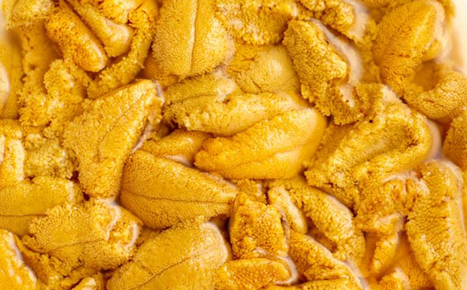 【令和8年発送先行予約】塩水うに 80g×1パック | 冷蔵 | 北海道 奥尻町 送料無料 80g (80g×1パック)