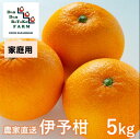 【ふるさと納税】【先行予約】【家庭用】伊予柑 約5kg | 柑橘 みかん 果物 フルーツ 愛媛県産 農家直送　※離島への配送不可　※2025年1月中旬頃に順次発送予定