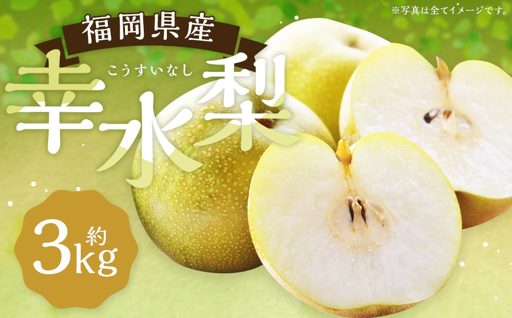 幸水梨 約3kg 5～8玉【2025年7月上旬～8月上旬発送】 ナシ 梨 果物 フルーツ 福岡県産