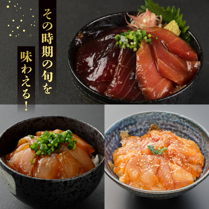 板前特製たれ仕込み！初音の旬の魚の漬け丼２セット【１２回定期便】_冷凍 調理済み 時短 湯せん お弁当 個包装 惣菜 小分け 子供 簡単調理 お取り寄せ 人気 湯煎 お湯ぽちゃ レトルト 温めるだけ