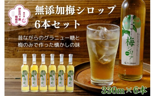 伊豆 月ヶ瀬 こだわりの 梅シロップ 500ml×６本セット 028-001　【 国産 無添加 焼酎 炭酸水 炭酸 飲料 果実 青果 果樹 ドリンク かき氷 お菓子 ケーキ ジュース  瓶 贈り物 ギ