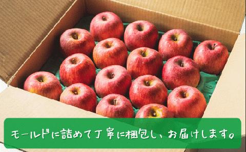 [0582]【令和6年度収穫分】農家応援企画 サンふじ 家庭用 ? 訳あり 5kg 沖縄および離島への配送不可 2024年11月下旬から順次発送予定 長野県 飯綱町