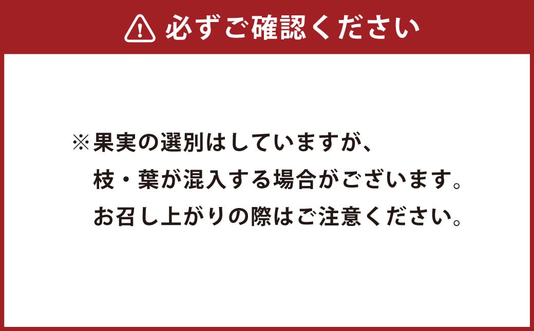 【2ヶ月毎4回 定期便】大分県久住高原産 『手摘みブルーベリー』 冷凍ブルーベリー 1kg 計4kg