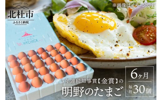 【6ヵ月定期便】3年連続知事賞（金賞）の明野たまご　30個入
