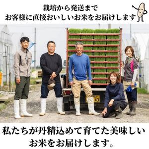 新潟県産 もち米『こがねもち』3kg（2升）令和5年産 つやつやモチモチ もち米ならではの芳醇な香り 清耕園ファーム お正月 餅 赤飯 おこわ