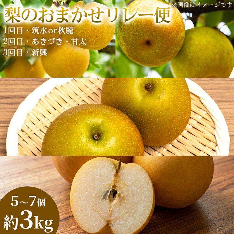【ふるさと納税】【旬の梨を味わう】熊本県産 おまかせリレー便(計5～7個)(約3kg)(1回目)筑水または秋麗(2回目)あきづき・甘太(3回目)新興 梨 フルーツ 詰め合わせ 食べ比べ 甘い 濃厚 農家直送 ギフト 贈答用 家庭用　お届け：2026年7月15日～2026年10月31日