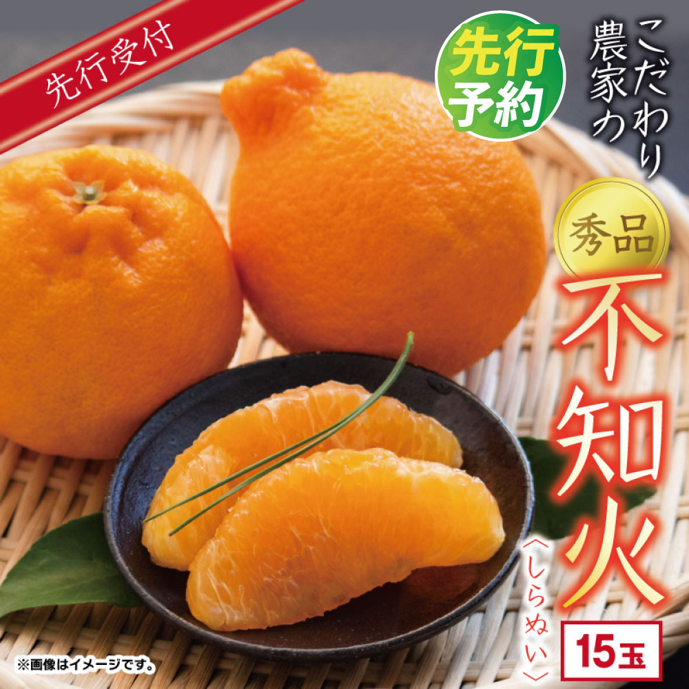 【ふるさと納税】こだわり農家の 秀品 不知火 15玉 大玉 蜜柑 みかん ミカン 果物 フルーツ ギフト 贈り物 プレゼント 柑橘 くだもの 長崎県 長崎市 青果 濃厚 甘い 柑橘類 贈答 県産 送料無料 【2027年4月上旬より発送開始予定】