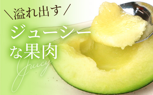  熊本県産 アンデスメロン 約3kg 2玉