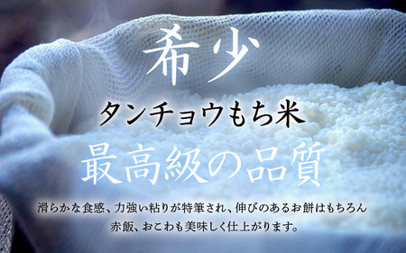 【先行予約】令和8年産 新米 幻のもち米 タンチョウもち米 3kg（精米）【2026年10月中旬以降順次発送】 【お米 米 こめ コメ kome 福井県産 モチ たんちょう おこわ 餅 おもち 常温 