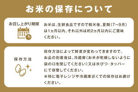 【令和7年産】浜田市金城町産「こしひかり」（２ｋｇ×４袋） 米 お米 精米 白米 玄米 ごはん コシヒカリ 一等米 お取り寄せ 特産 こしひかり 米専用箱入り 【058_1848】
