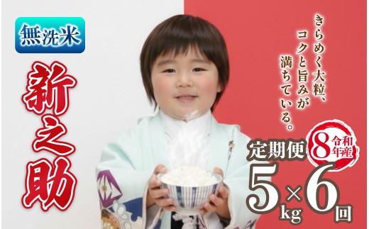先行予約 令和8年産 無洗米 新之助 定期便 5kg 6回 30kg しんのすけ 米 国産 環境こだわり おこめ お米 ご飯 ごはん オニギリ お弁当 kome 6か月 送料無料 数量限定 農家直送 産地直送 国産 川瀬農園 四代目 悠助 新潟 新発田 kwsMSS004_202609