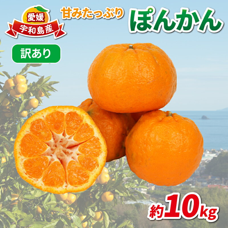 【ふるさと納税】 訳あり ポンカン 約10kg 協徳ガーデン 先行予約 予約受付 訳アリ わけあり ぽんかん 甘い 濃厚 ジューシー 果物 くだもの フルーツ 柑橘 みかん mikan 宇和島みかん 愛媛蜜柑 愛媛ミカン ミカン 農家直送 産地直送 数量限定 国産 愛媛 宇和島 B010-178005