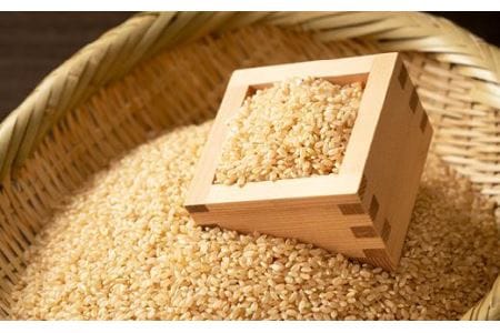 【玄米・令和7年産】 丹波篠山産 こしひかり 玄米 （3kg×2袋 計6kg） 玄米 コシヒカリ Q003