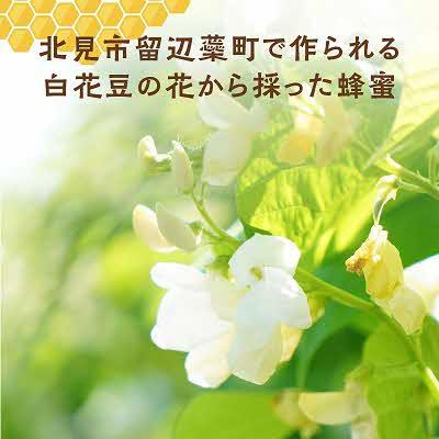 ふるさと納税 北見市 【国産蜂蜜】北の大地で採れたまんまの白花豆はちみつ(450g)そのまま使える便利なパッカー容器入り |  | 01