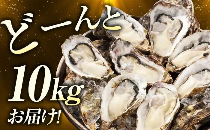 冷凍 殻付き牡蠣 10kg 牡蠣[XAE067]