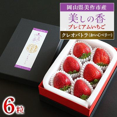 岡山県美作市産　プレミアムいちご【美しの香/クレオパトラ(おいCベリー)】6粒入【配送不可地域：離島・北海道・沖縄】【1360737】