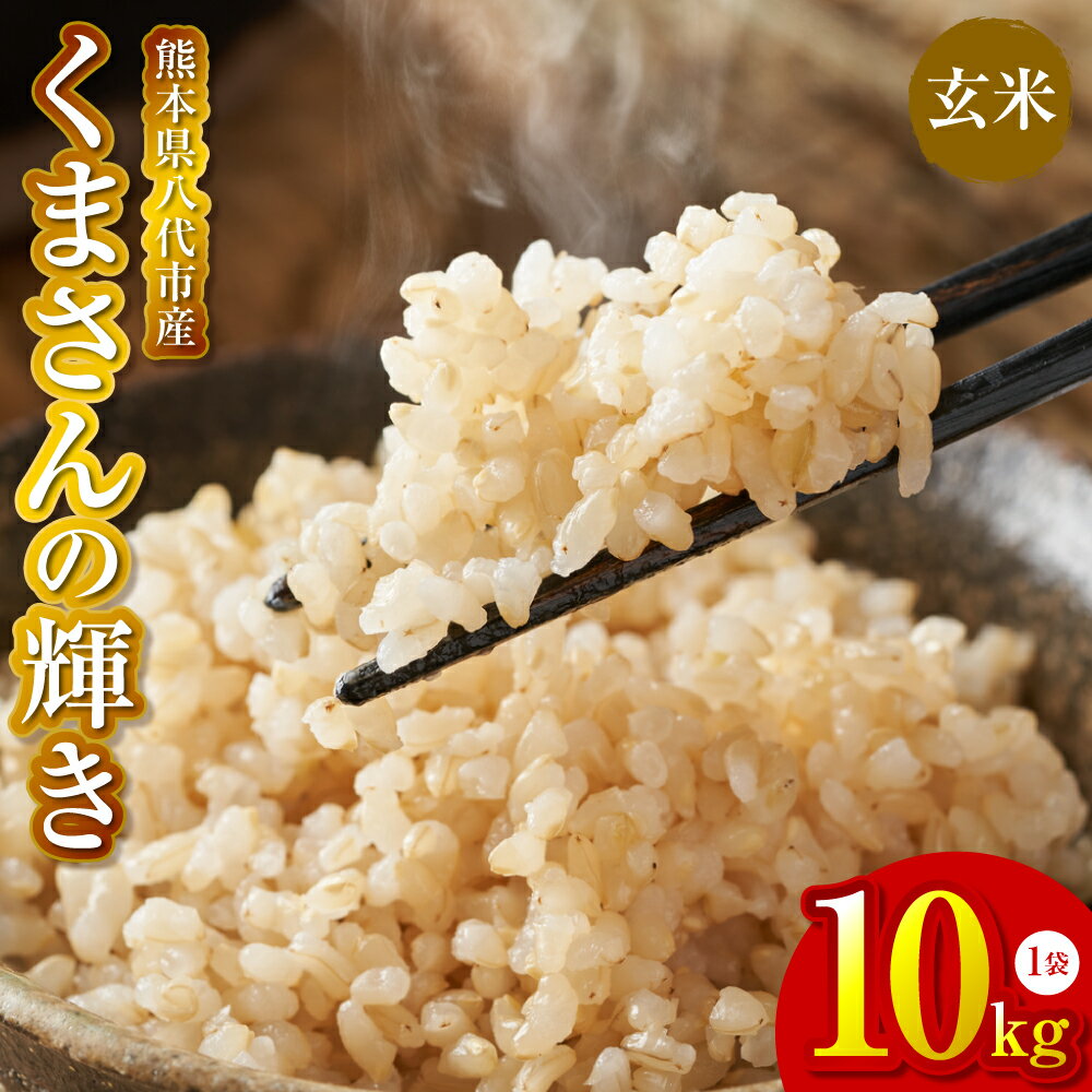 【ふるさと納税】 《令和7年産》 くまさんの輝き 玄米 10kg 熊本県 八代市産 米 お米 国産 送料無料