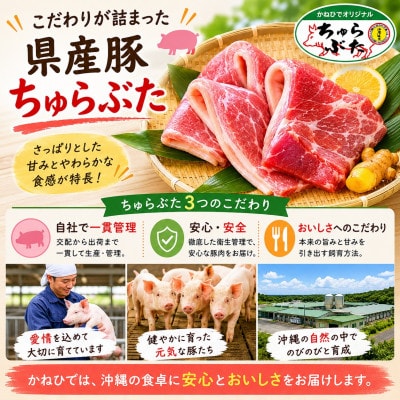 沖縄県産ブランド豚 ちゅらぶた ロースしゃぶしゃぶ用スライス 500g×1P【配送不可地域：離島】
