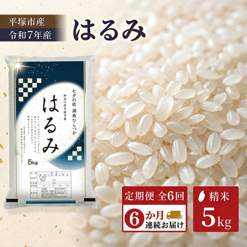 【ふるさと納税】 米 甘い お米 こめ コメ 精米 白米 【 定期便 6か月 】 米 はるみ 5kg 令和7年産 精米 甘い 特A 平塚産 お米 米5kg 米定期便 神奈川県産 ふるさと納税米 ふるさと納税お米 お弁当 弁当 おにぎり 神奈川県 平塚市