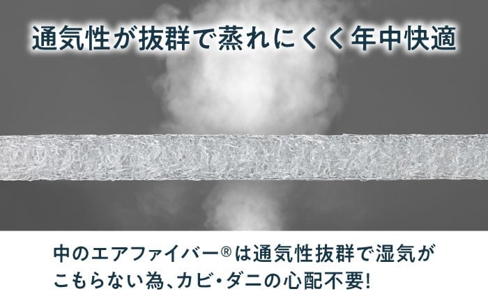 エアウィーヴ エアウィーブ エアリーヴ クッション 健康 airweave 人気 おすすめ