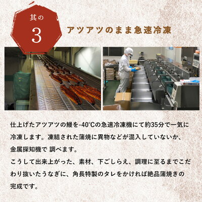 うなぎ蒲焼 4尾 & 蒲焼タレ 2本 セット 国産 安全 ふっくら うなぎ 特製 タレ 土用 丑の日 こだわり 蒲焼き 贈答 贈り物 ギフト 急速冷凍 うな丼 うな重 う巻き ひつまぶし うなむすび 