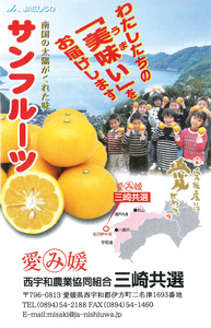 【先行予約】サンフルーツ（生果3kg）※離島への配送不可（2026年2月上旬より順次発送） IKTBD012