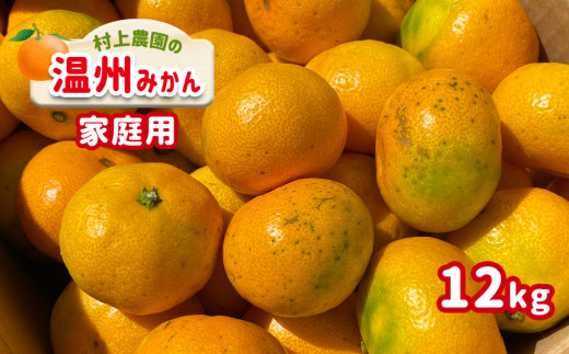 ご家庭用 温州みかん 約12kg(約6kg×2箱) 村上農園