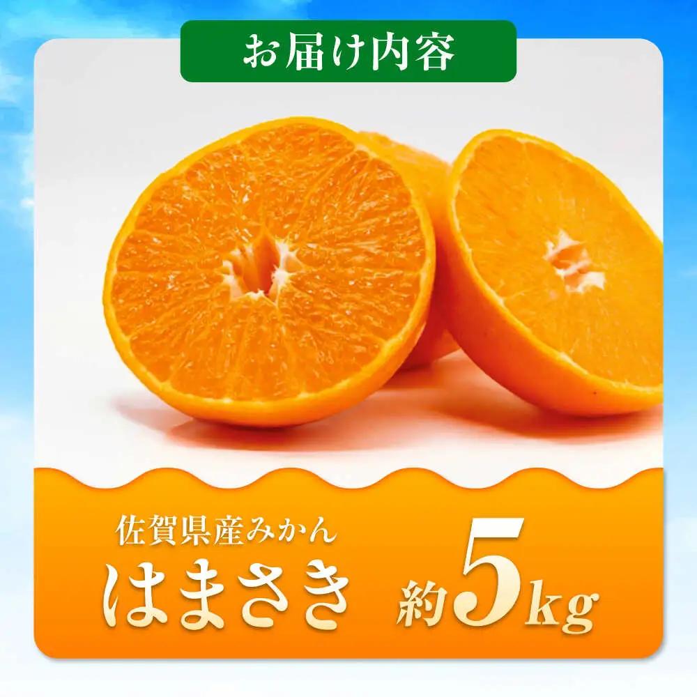 【2027年2月以降順次発送】佐賀県産みかん はまさき約5kg / みかん 蜜柑 果物 フルーツ / リフルット株式会社 [41ABAA022]