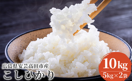 米 令和6年産 こしひかり 10kg（5kg×2袋） 2024年 広島県安芸高田市産 白米 お米 コシヒカリ 