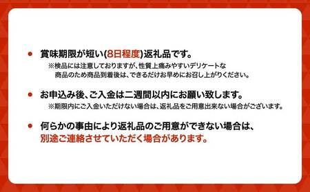 梨 濃あま梨 約3kg 6〜10玉前後 なし 秋月 幸水 豊水 新高 秋麗 甘太 和梨 品種おまかせ 冷蔵 国産 九州 熊本県 宇城市 小川町産 農園とフォーク青果店 8月上旬から9月下旬発送予定