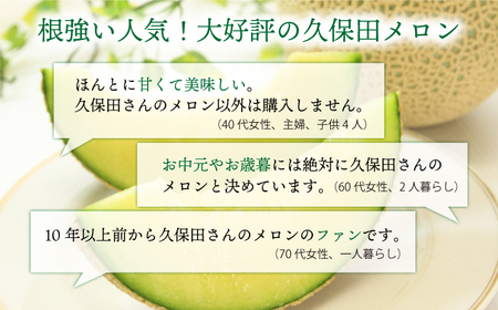 【11月上旬から11月中旬頃お届け】＜先行予約＞平戸市産 メロン「 ソナタ 」[KAB097] メロン メロン メロン メロン メロン メロン