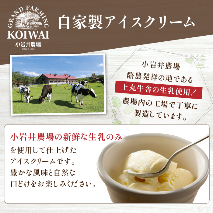 小岩井農場 アイスクリーム 6個セット ／ 2種類 食べ比べ アイス ギフト 贈答用