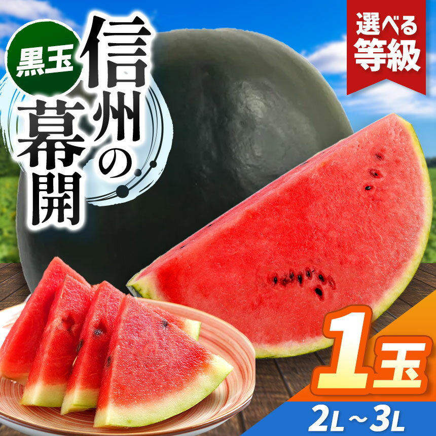 【ふるさと納税】先行予約【選べる】信州波田産 贈答用 黒玉スイカ！ 信州の幕開 2L～3Lサイズ 1玉｜ふるさと納税 長野県 信州 松本 果物 フルーツ すいか スイカ 西瓜 贈答 季節限定 甘い くだもの ふるーつ
